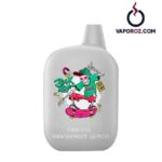 IGET B5000 25 Pack - Image 3