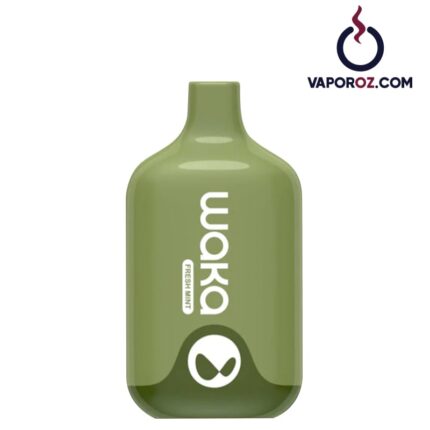 Waka Smash 6000 - Fresh Mint