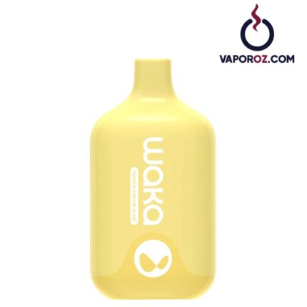 Waka Smash 6000 - Mango Melon Aloe