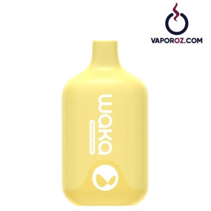 Waka Smash 6000 - Pinenana Melon